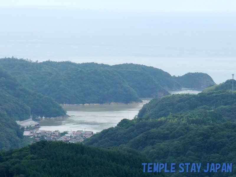 ShimizuDaishiji (View)