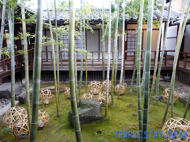 Myokenji (Kyoto) Bamboo garden