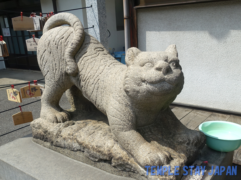 Syodenji (Tokyo) Guardian tiger