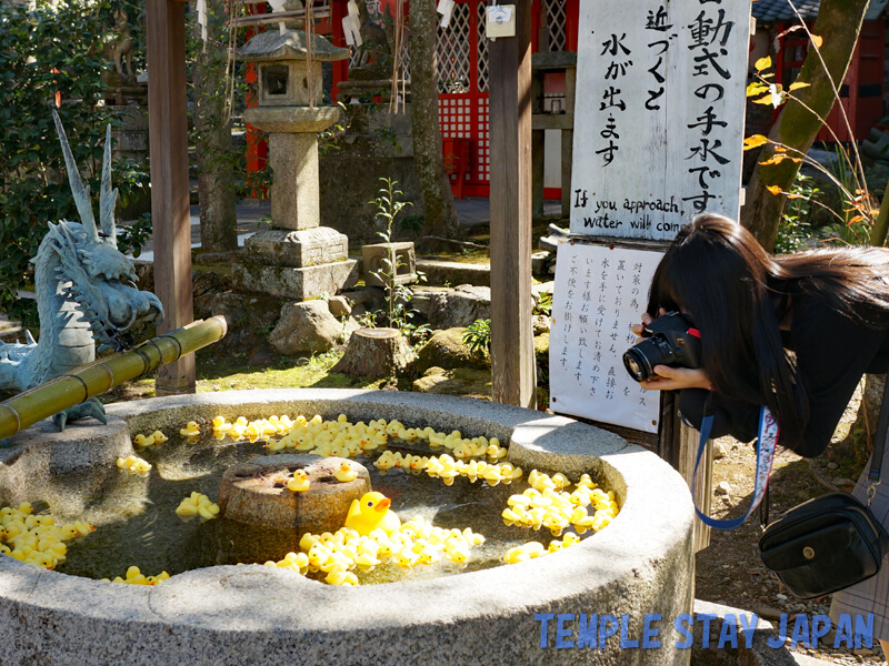 Awata-Jinja (Kyoto) Purification fountain