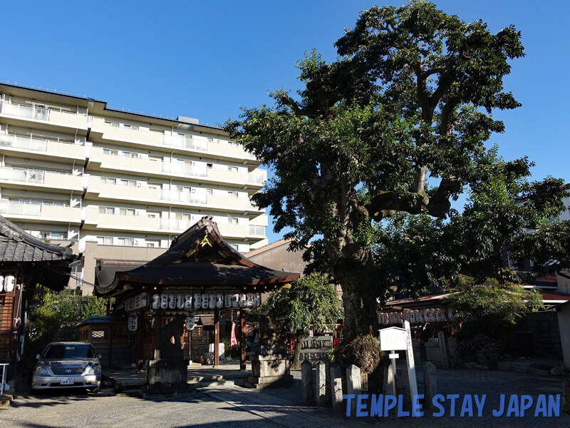 Kinsatsugu (Kyoto) Shrine grounds