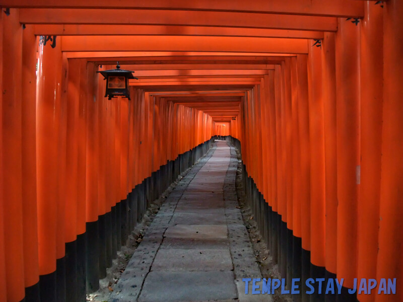 Fushimi-Inari shrine (Kyoto) Torii gates