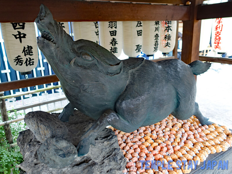 Zenkyoan (Kyoto) Boar