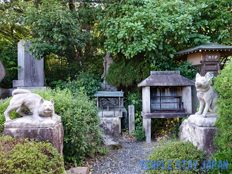 Sokujoin (Kyoto) Kukai and a pair of dogs