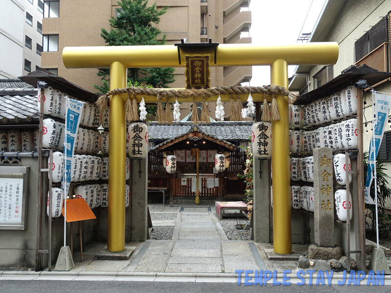 Mikane-jinja (Kyoto) Golden Torii gate