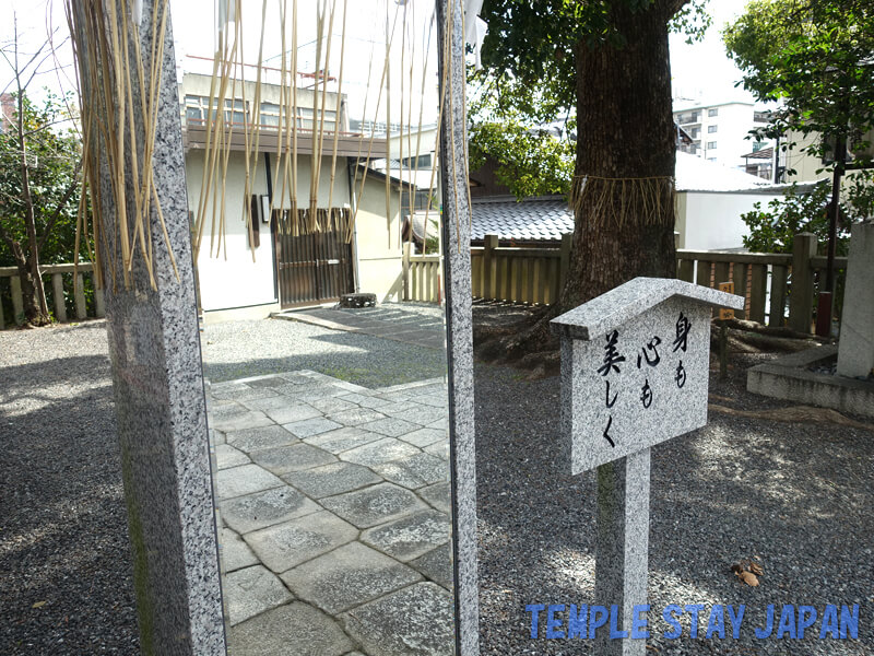 Wakamiya Hachimangu (Kyoto) Mirror of Beauty