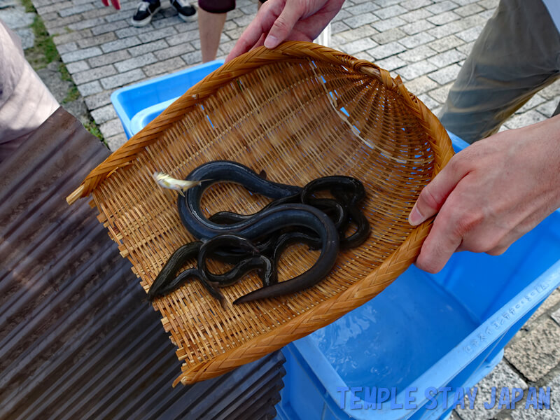 Honnoji (Kyoto) Hojoe