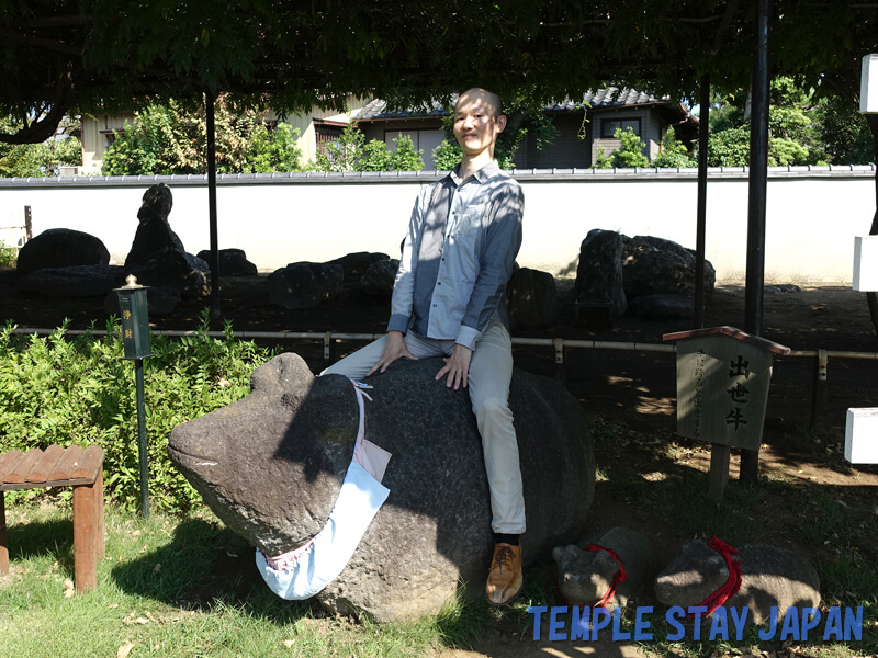 Nanzoin (Tokyo) Successful cattle