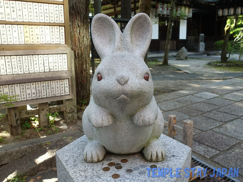 Okazaki-jinja (Kyoto) Rabbit
