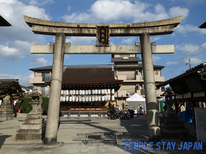 Takio-jinja (Kyoto) Torii gate