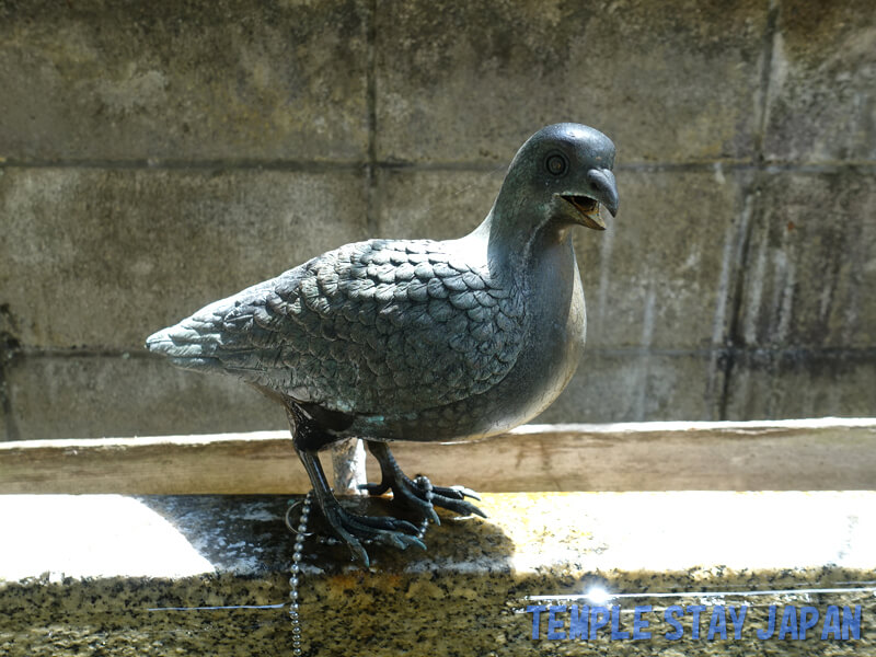 Kadodehachimangu (Kyoto) dova