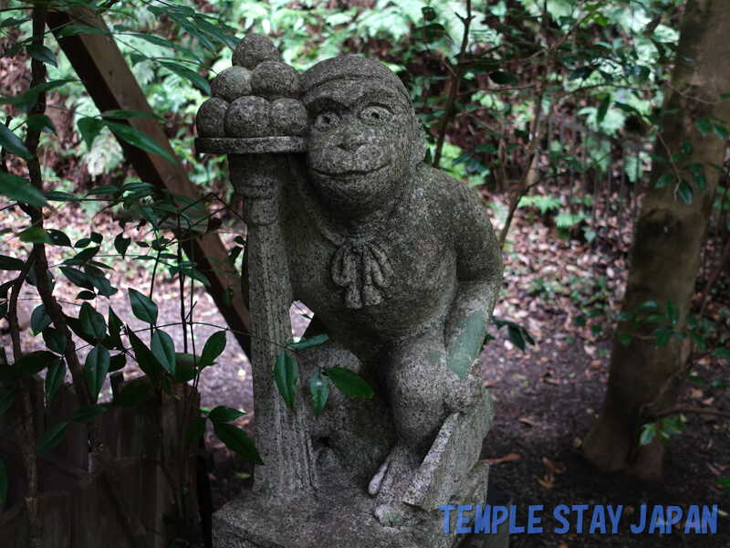 Ootoyo-jinja shrine (Kyoto) Monkey