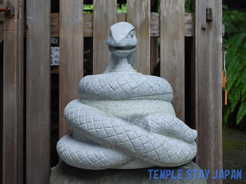 Ootoyo-jinja shrine (Kyoto) Snake