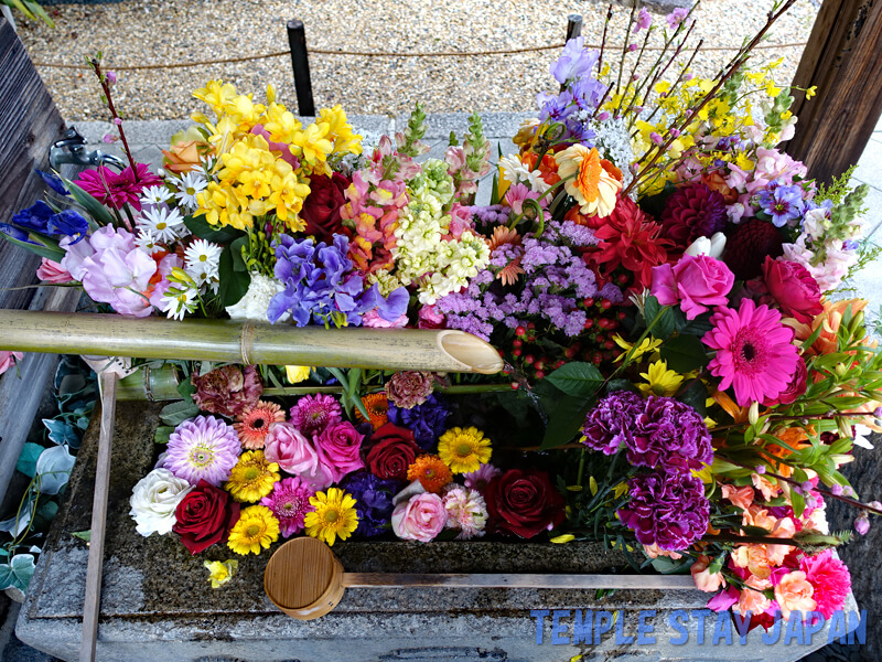 Syorinji temple (Kyoto) Flowers