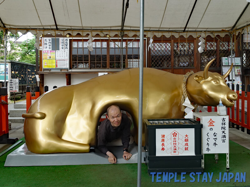 Kissyoin-Tenmangu (Kyoto) Golden cattle