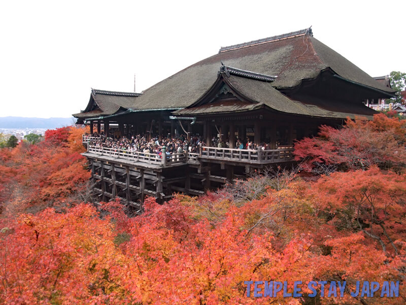 Kiyomizu-dera (Kyoto) Autumn leaves
