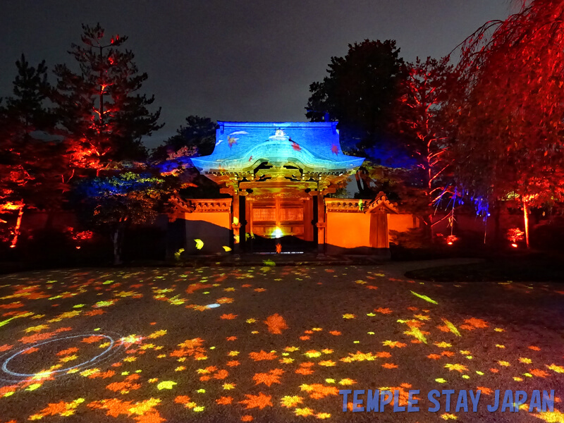 Kodaiji (Kyoto) Light show