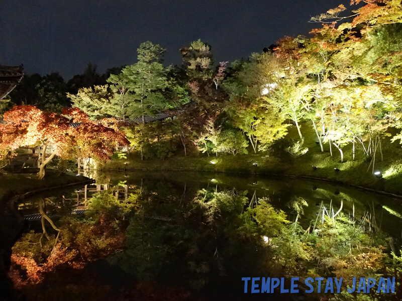 Kodaiji (Kyoto) Night garden