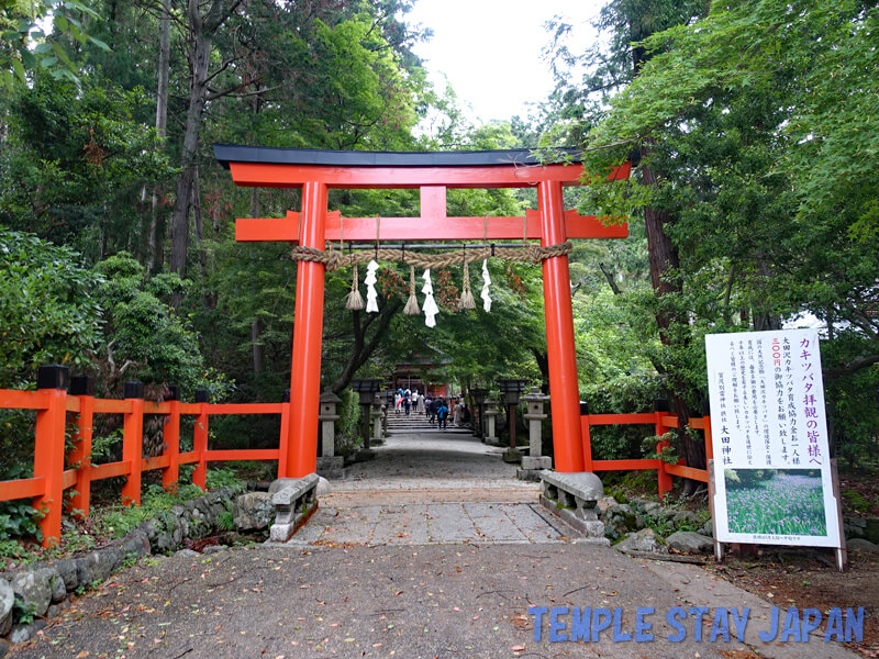 Ootajinja (Kyoto) Torii-gate