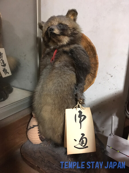 Saiunji temple (Kyoto) Raccoon dog figurine