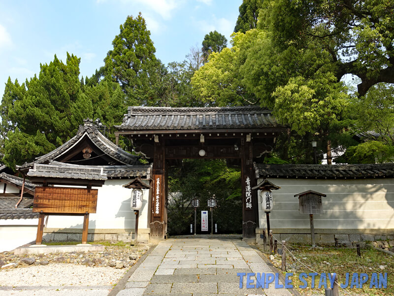 Shorenin (Kyoto) Gate