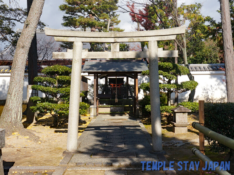 Syokokuji (Kyoto) Shotenkaku Sonta Inari