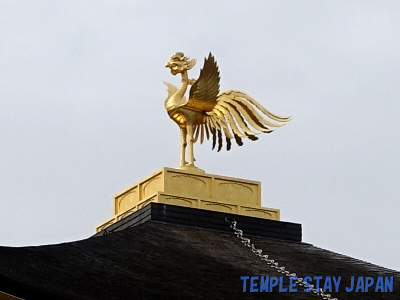 Kinkakuji temple (Kyoto) Phoenix