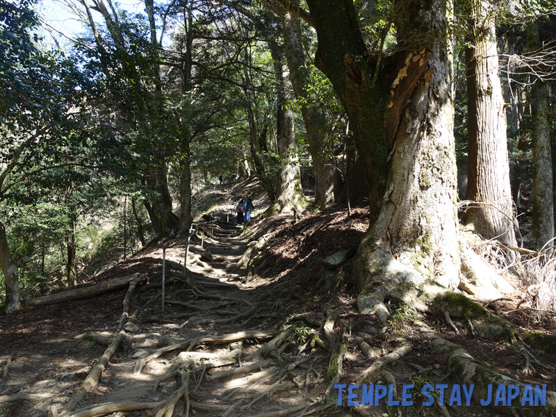 Kuramadera (Kyoto) Mountain trail