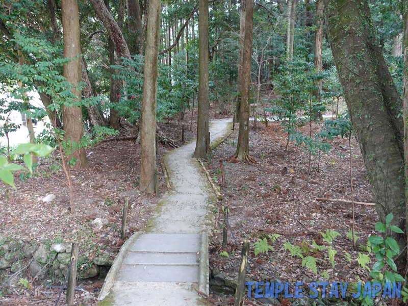 Tosajinja (Kochi) Shrine forest