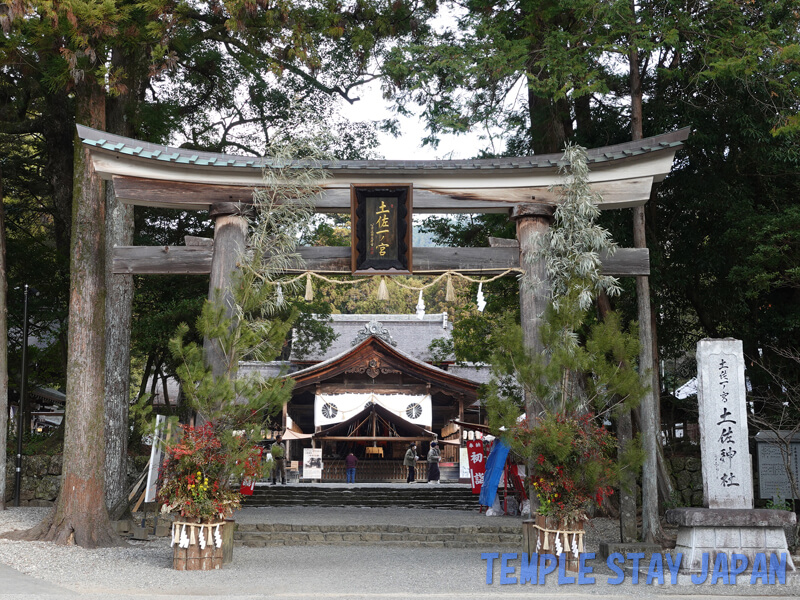 Tosajinja (Kochi) Torii gate