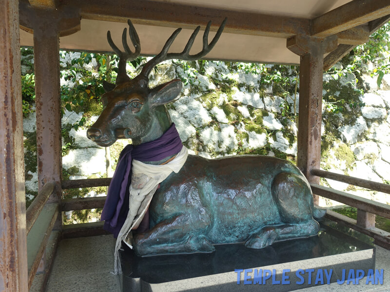 Yoshidajinja (Kyoto) Deer