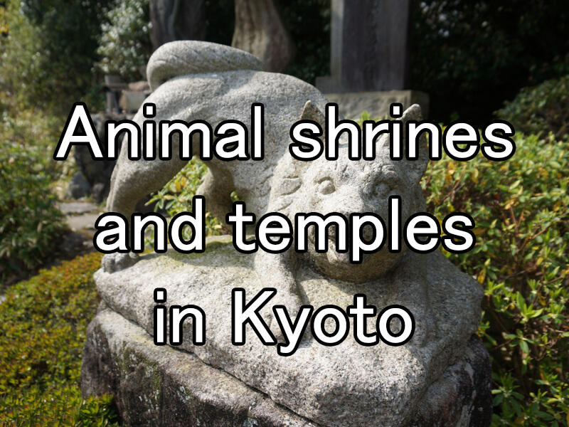 Animal shrines and temples in Kyoto