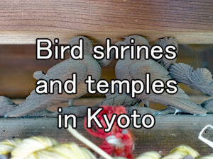 Bird shrines and temples in Kyoto