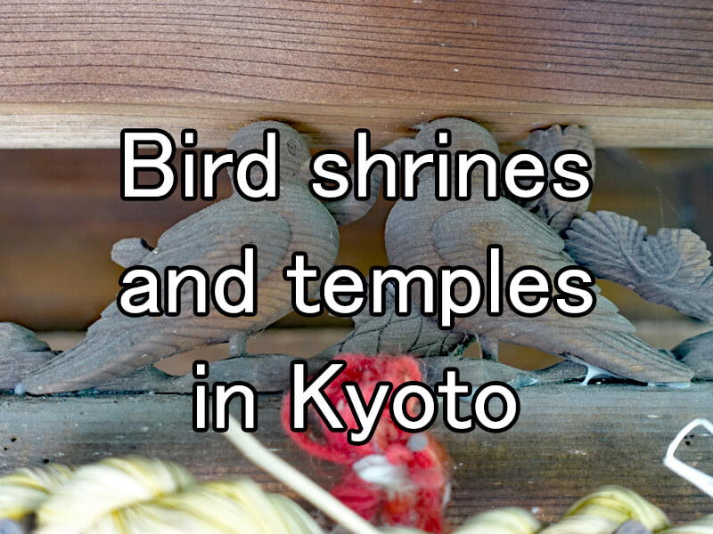 Bird shrines and temples in Kyoto
