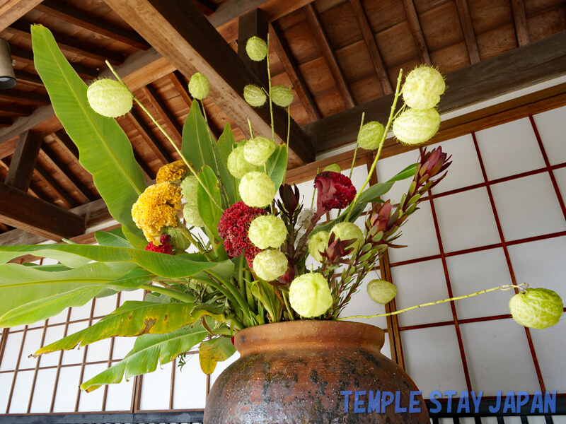 Daikakuji temple (Kyoto) Ikebana (Flower arrangement)