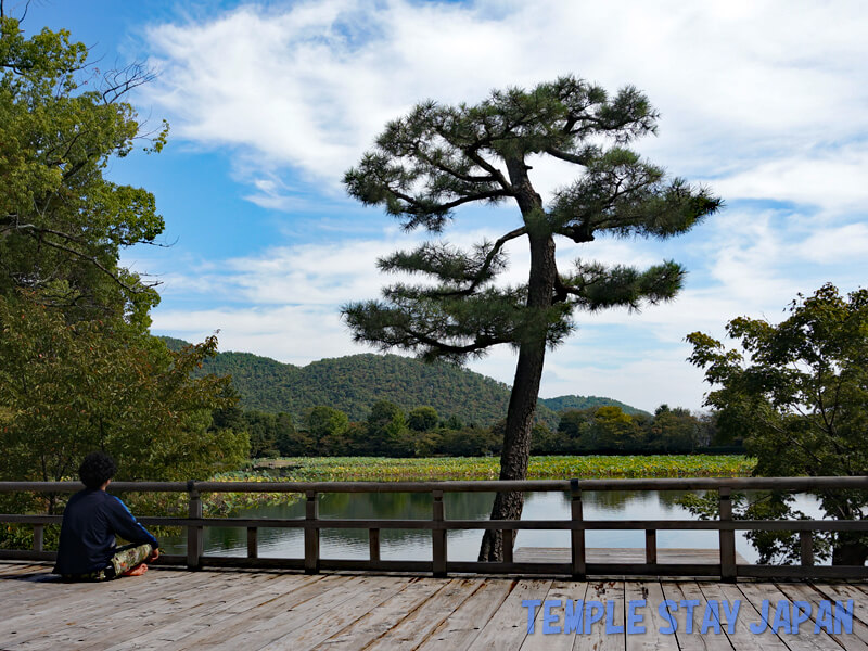 Daikakuji temple (Kyoto) Osawa pond