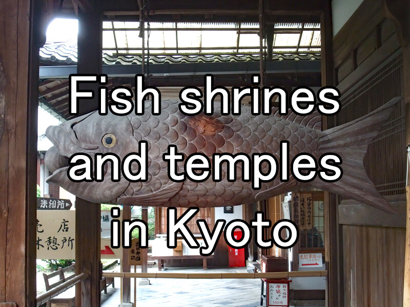 Fish shrines and temples in Kyoto