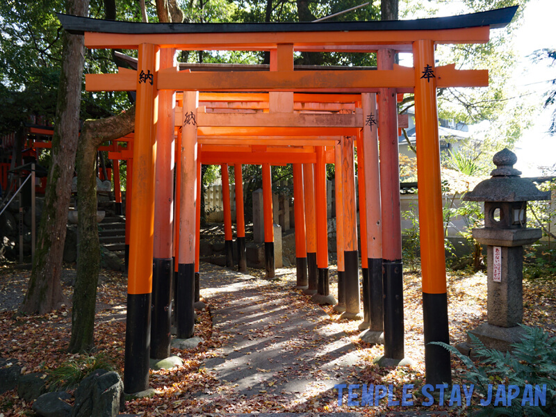 Kamigoryo Shrine (Kyoto) vermilion torii gates