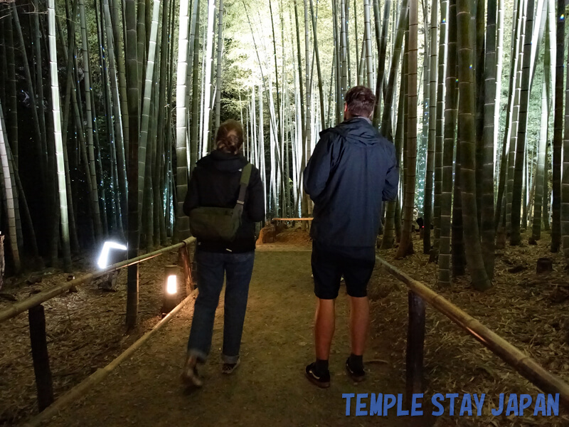 Kodaiji (Kyoto) Night bamboo forest