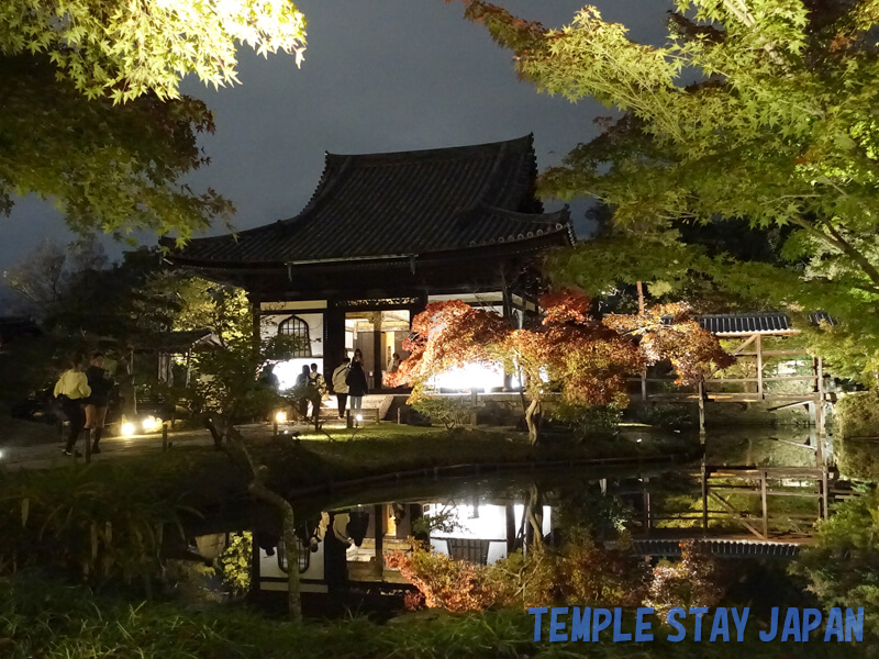 Kodaiji (Kyoto) Illumination