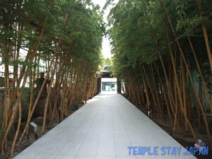 Baisoin temple (Tokyo) Bamboo