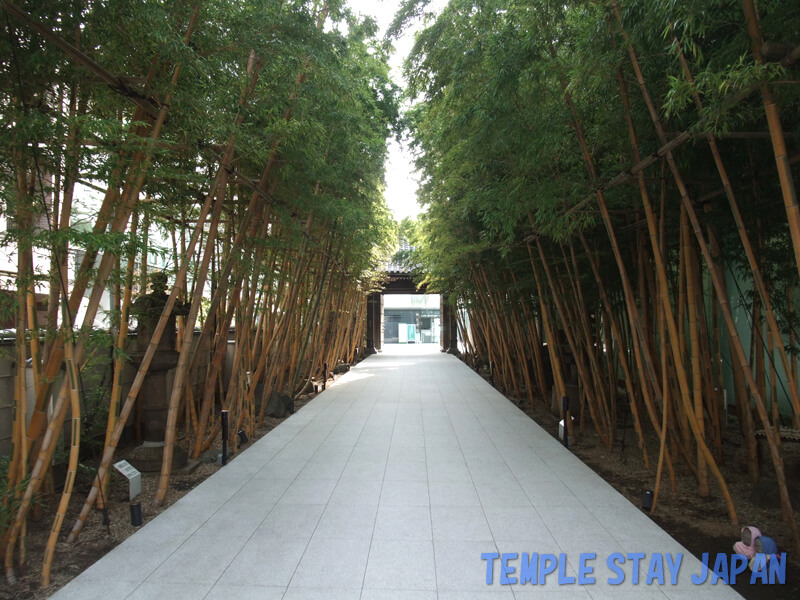Baisoin temple (Tokyo) Bamboo